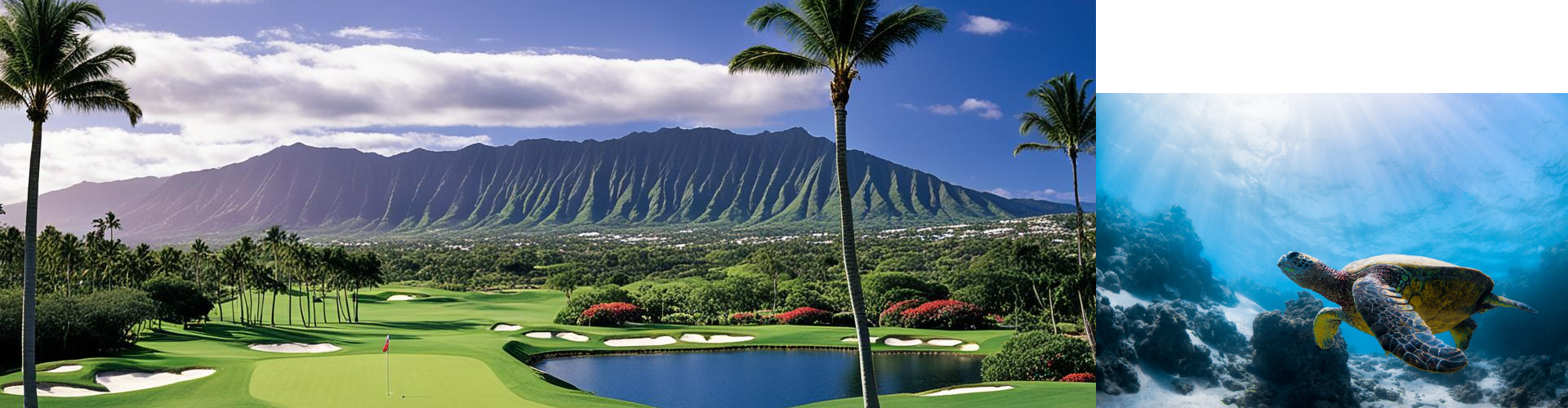 하와이.남태평양